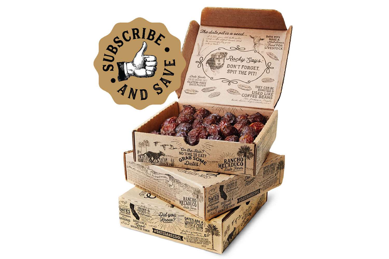 Rancho Meladuco The Date Farm The Standing Date