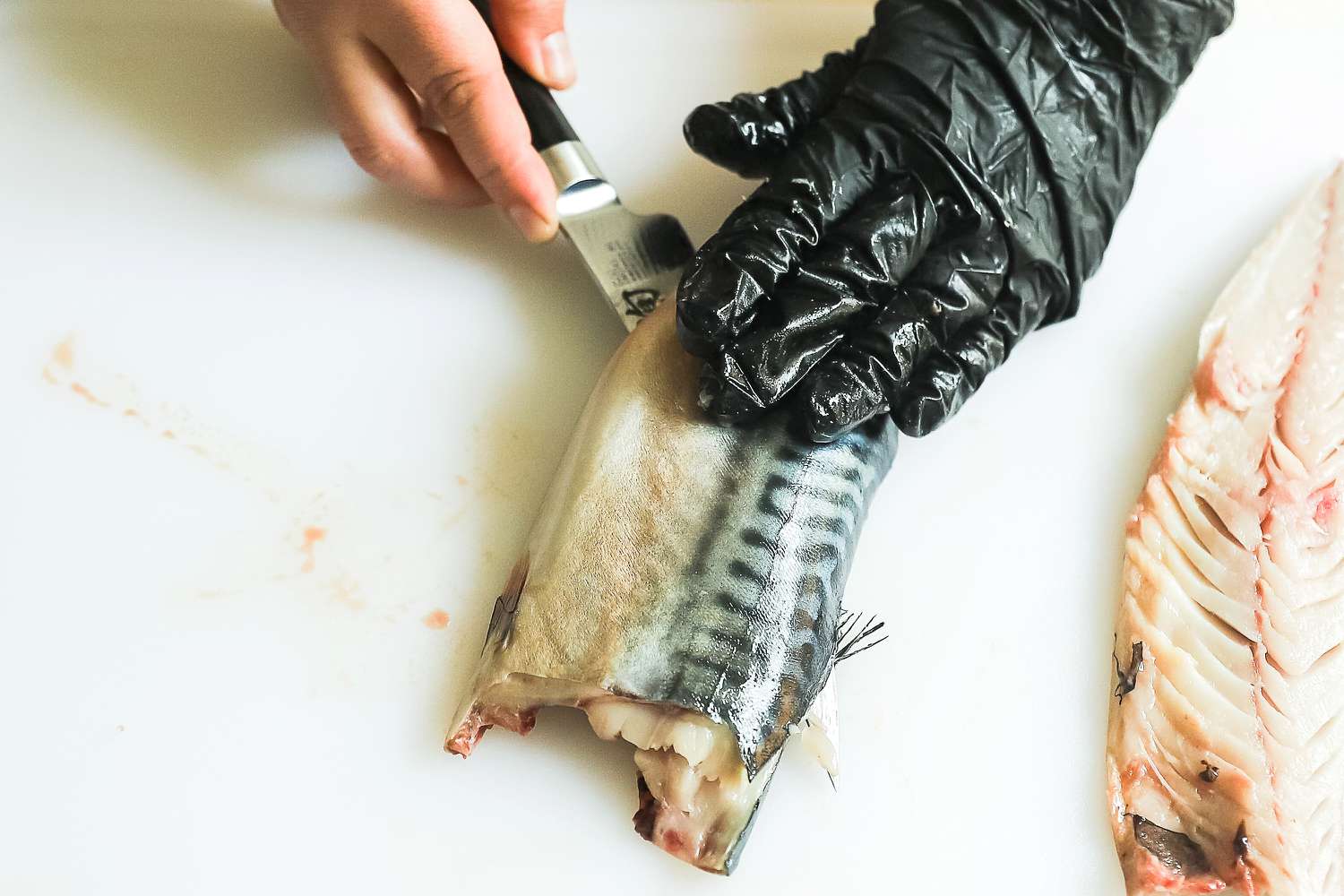 A person using the Shun Classic 6" Boning & Fillet Knife to slice a fish