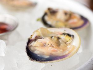 20150608-clams-closeup.jpg