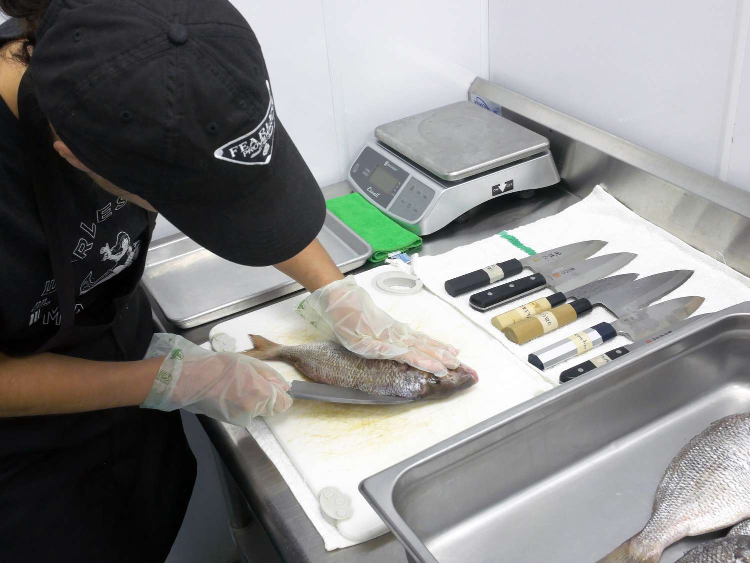 natalia gattuso using a deba knife to fillet a scup