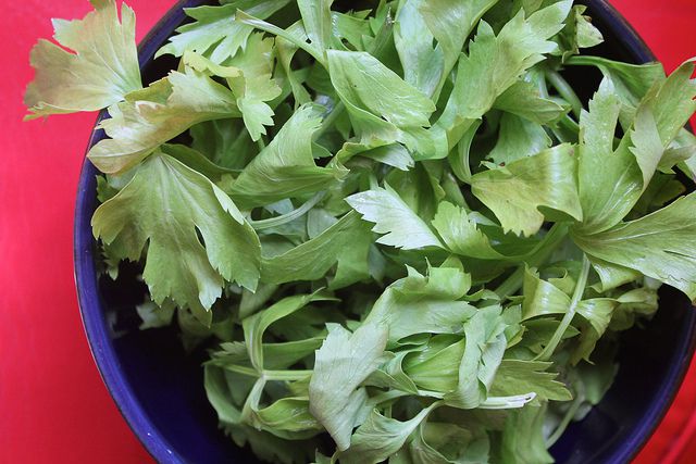 A bowl of celery leaves.