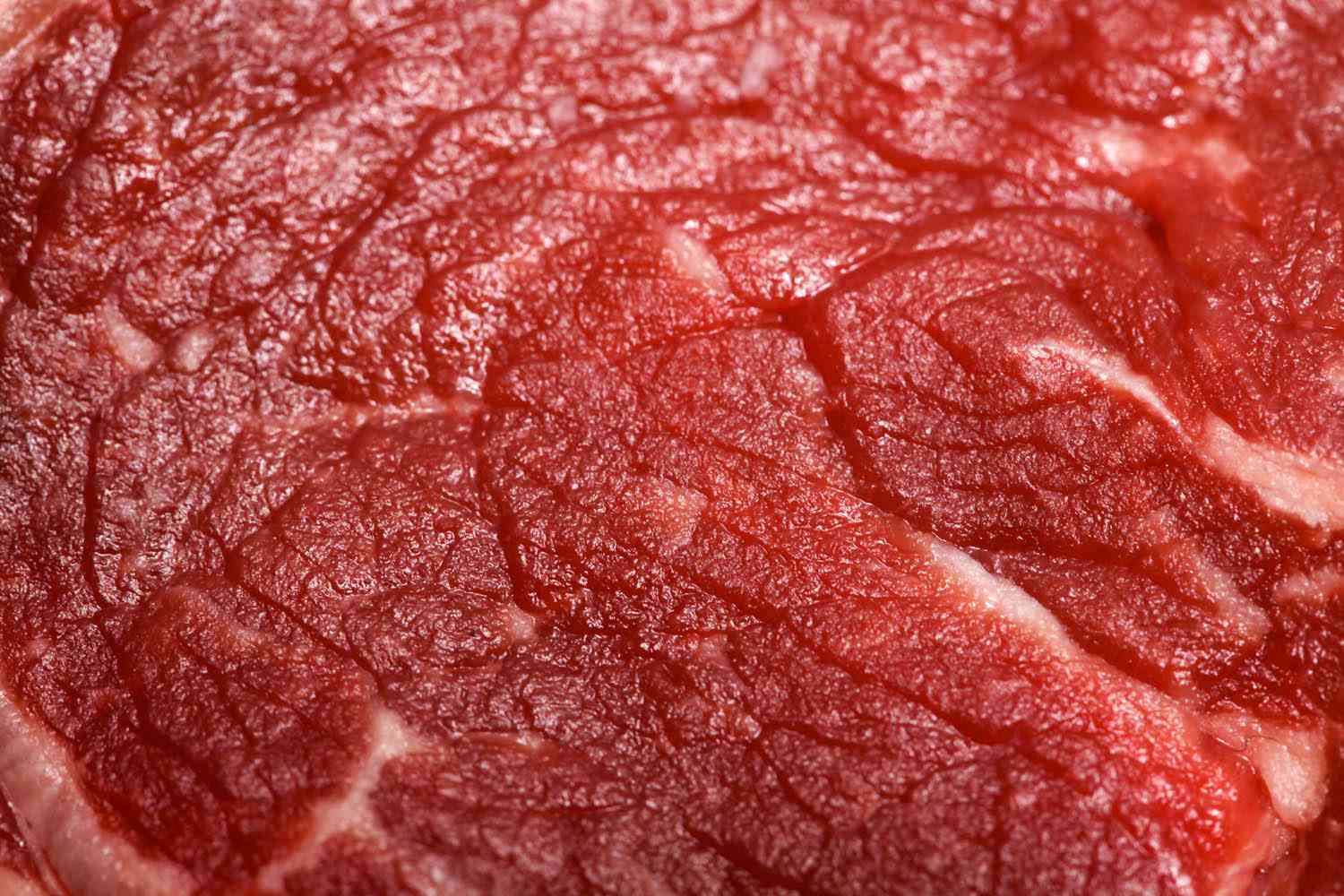 close-up shot of beef
