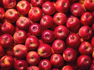 A display of numerous red apples