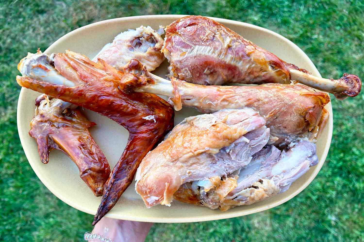 A plate with pieces of cooked poultry including drumsticks and wings held over grass
