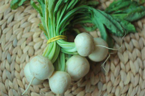 A bunch of hakurei turnips.