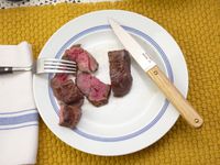 the made in steak knife resting on a plate with slices of steak