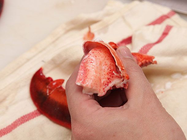 Exposing the large piece of meat inside a cracked lobster claw
