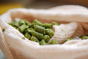 A burlap bag of pelletized hops. 