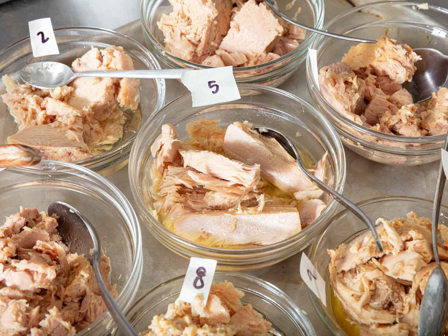 Many types of tuna in oil in small bowls side by side and numbered 