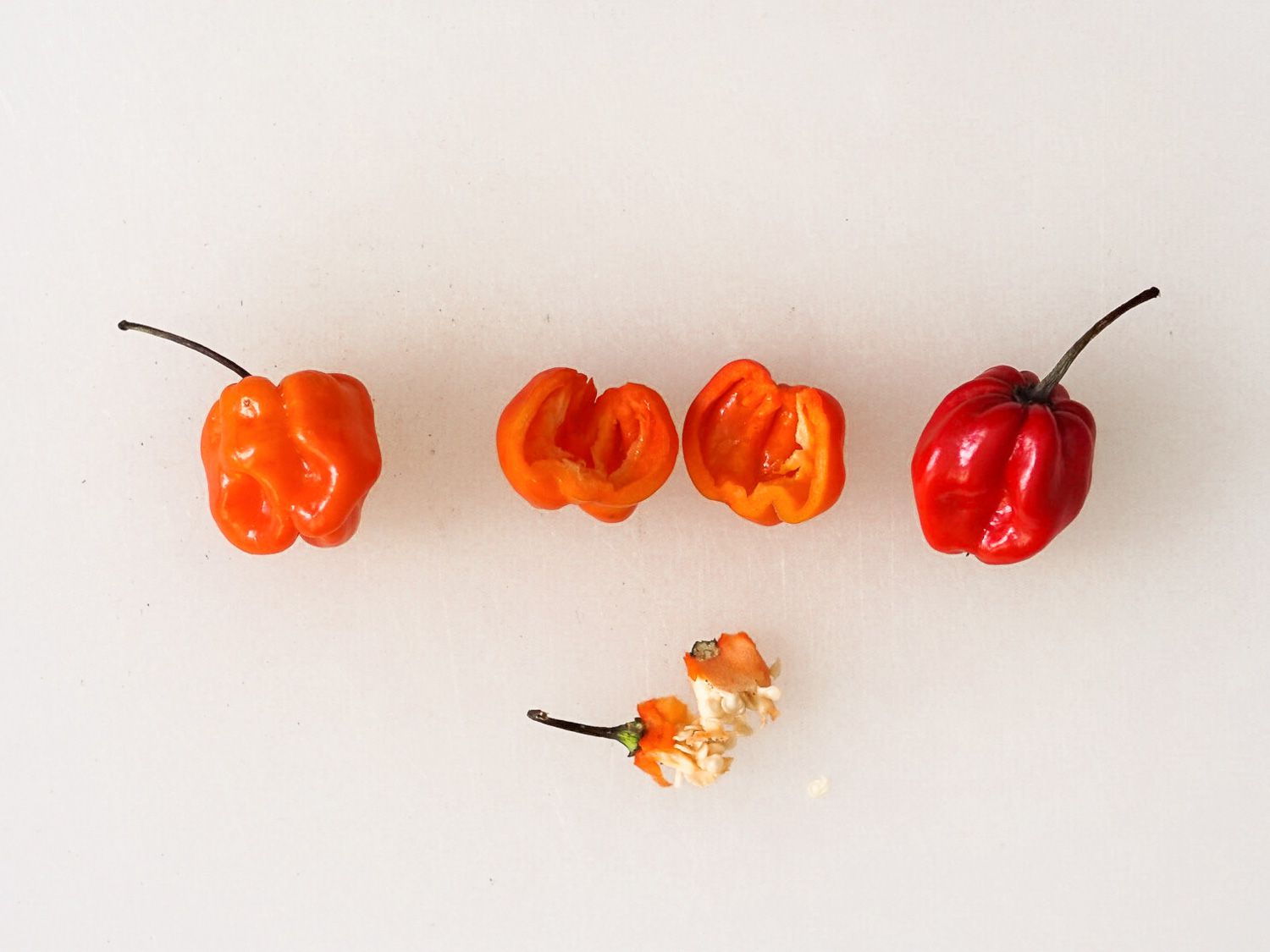 Small chile peppers with one cut open and the seeds and membranes removed.