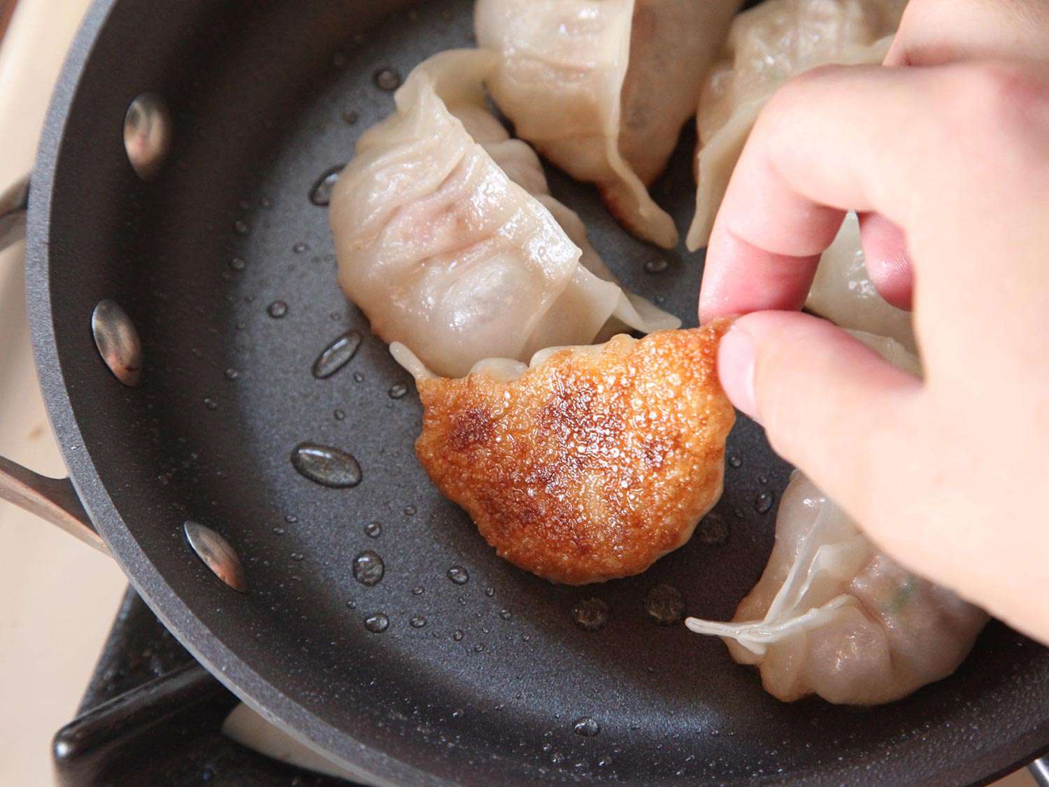 A pan of steamed and fried gyoza. Someone is lifting up one gyoza to show the extra-crispy bottom. 