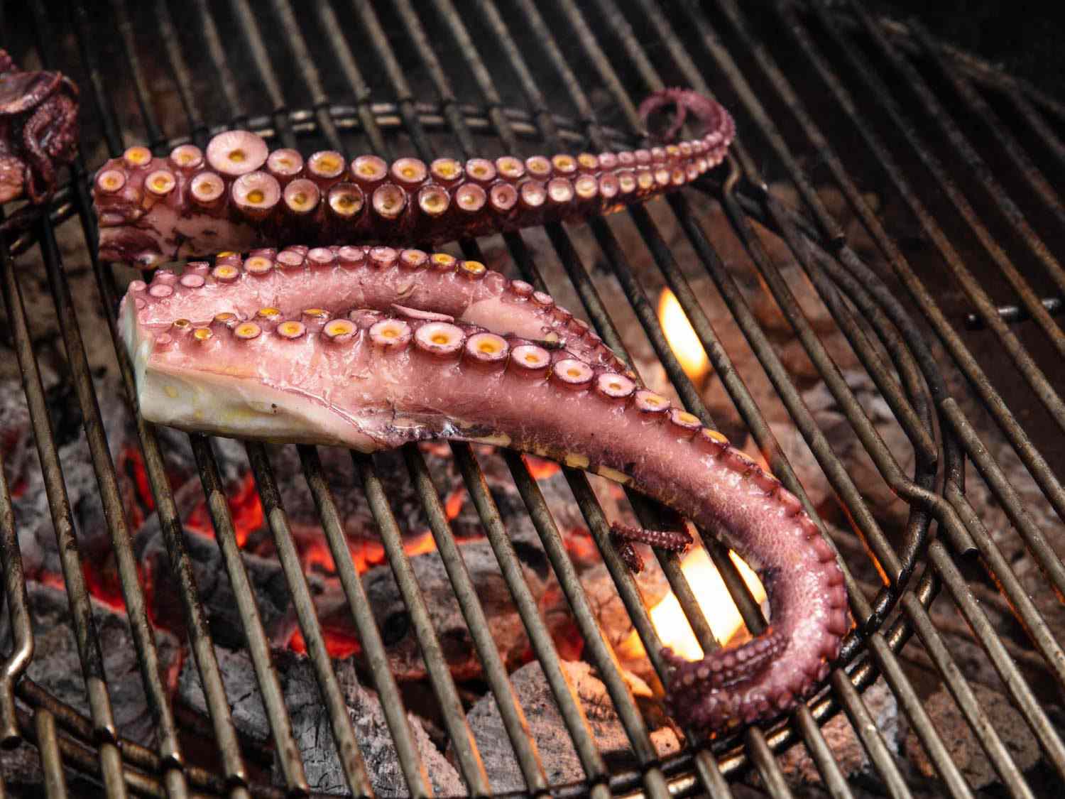 Octopus tentacles that have just been placed on the grill, with glowing charcoal below