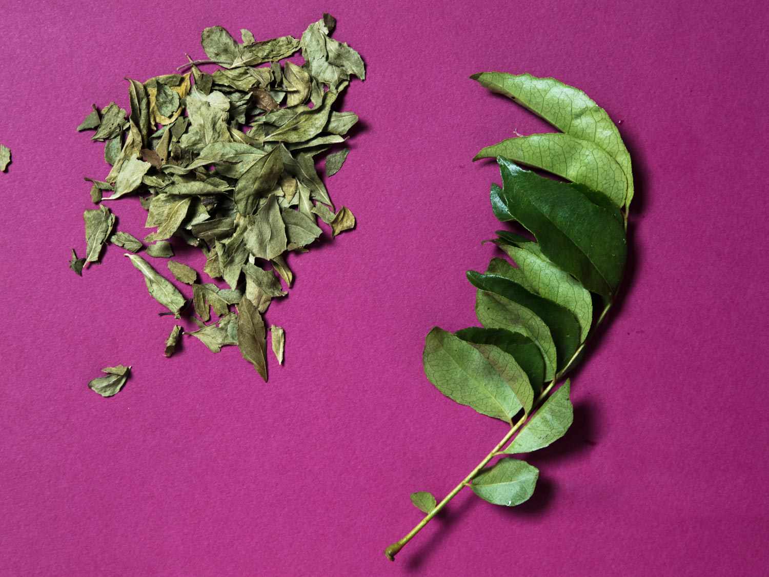 Closeup of dried and fresh curry leaves on a fuchsia surface.