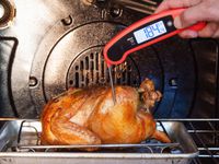 Person using Lavatools Javelin Pro Duo Digital Instant Read Thermometer to check the temperature of cooked chicken