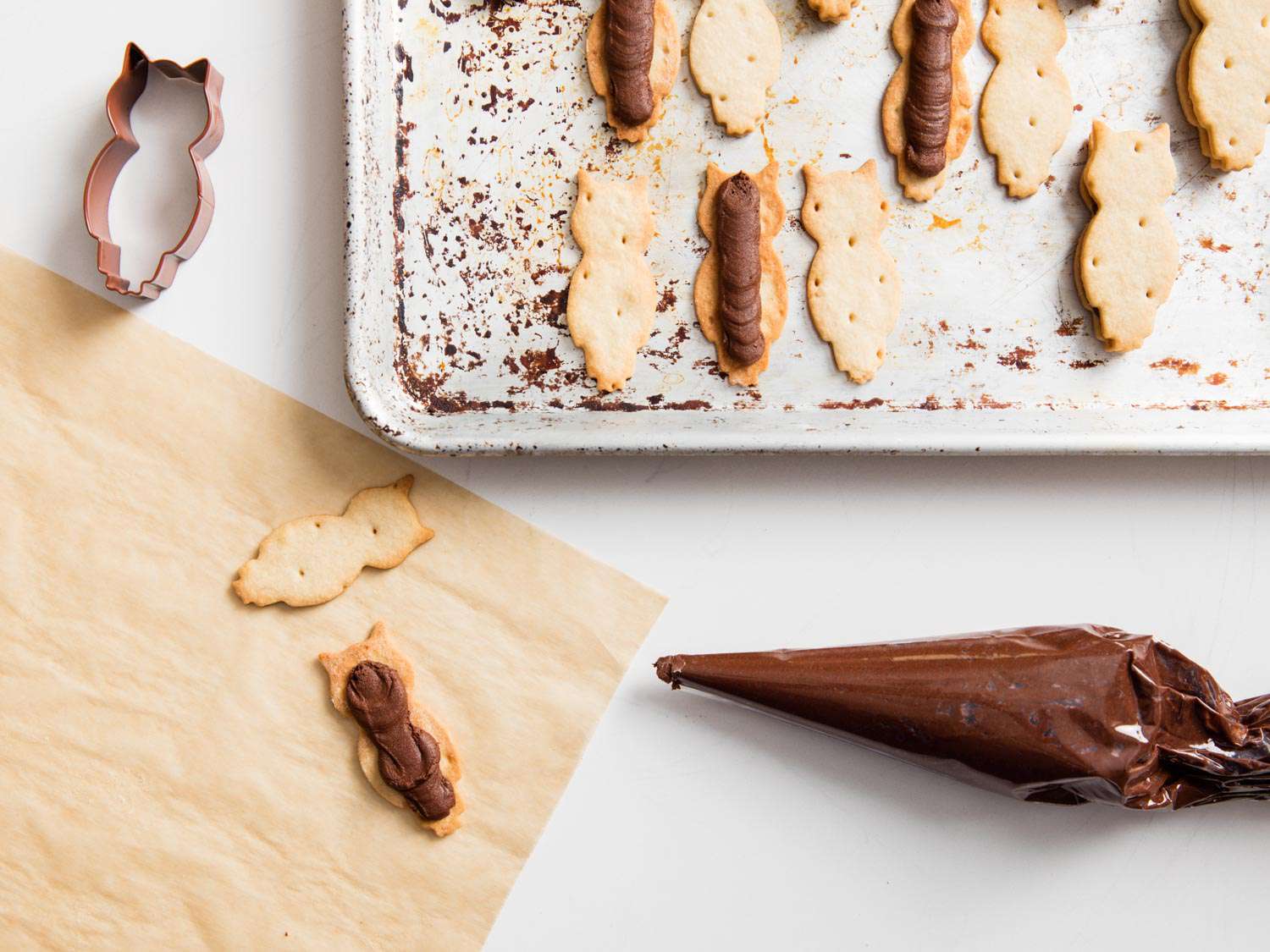 Overhead of shortbread biscuits, chocolate frosting in a piping bag, cookie cutter, and baking sheet