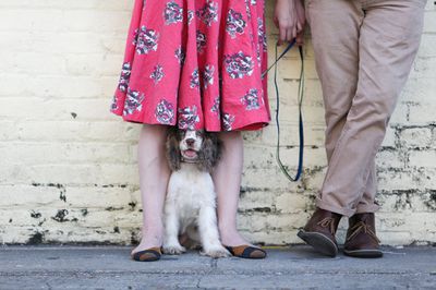 Sarah Baird is a contributing writer at Serious Eats. 