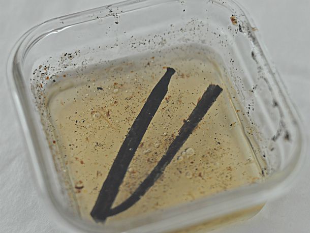 Vanilla bean simple syrup.jpg