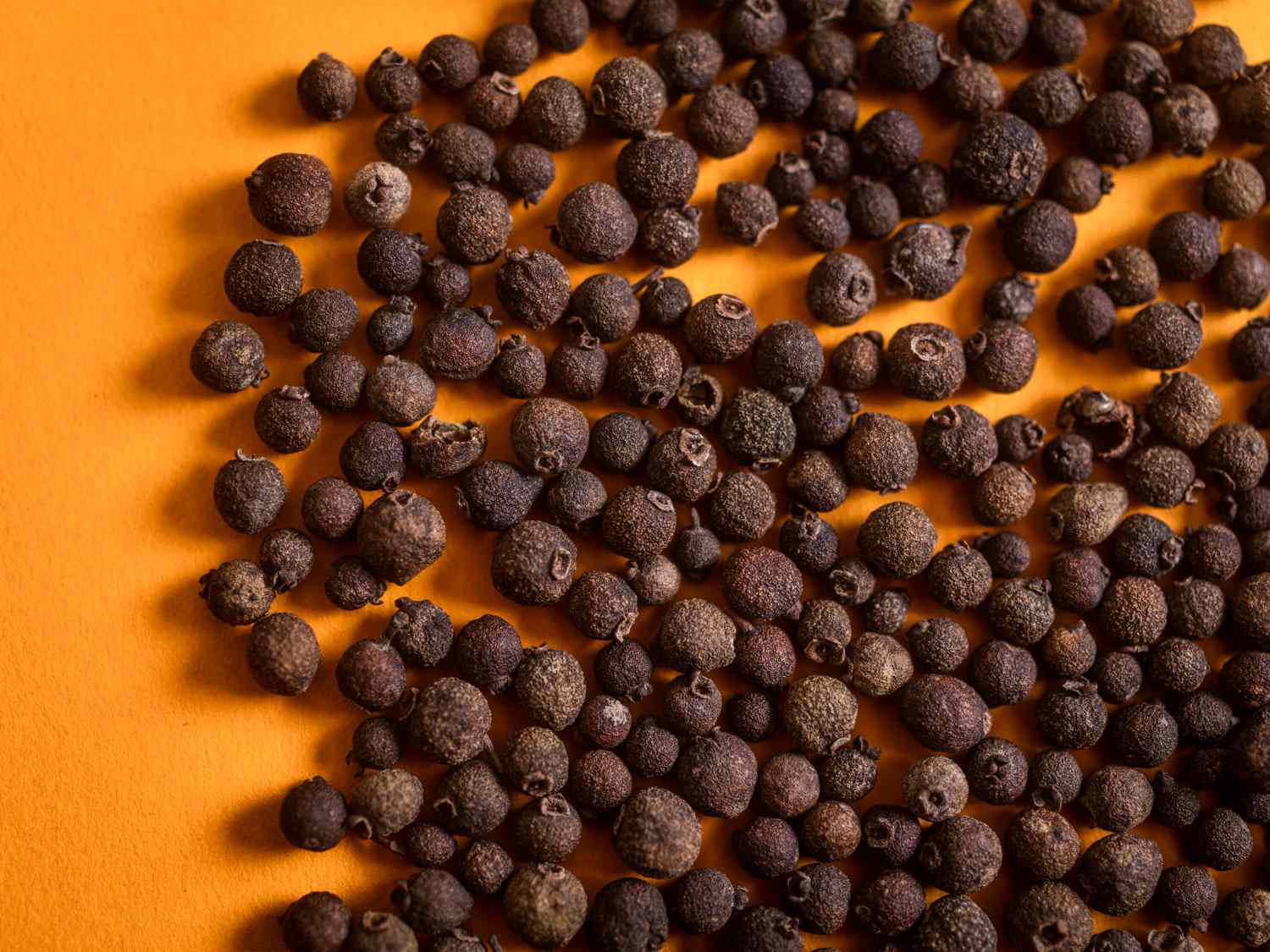 Close-up of many brown dried allspice berries