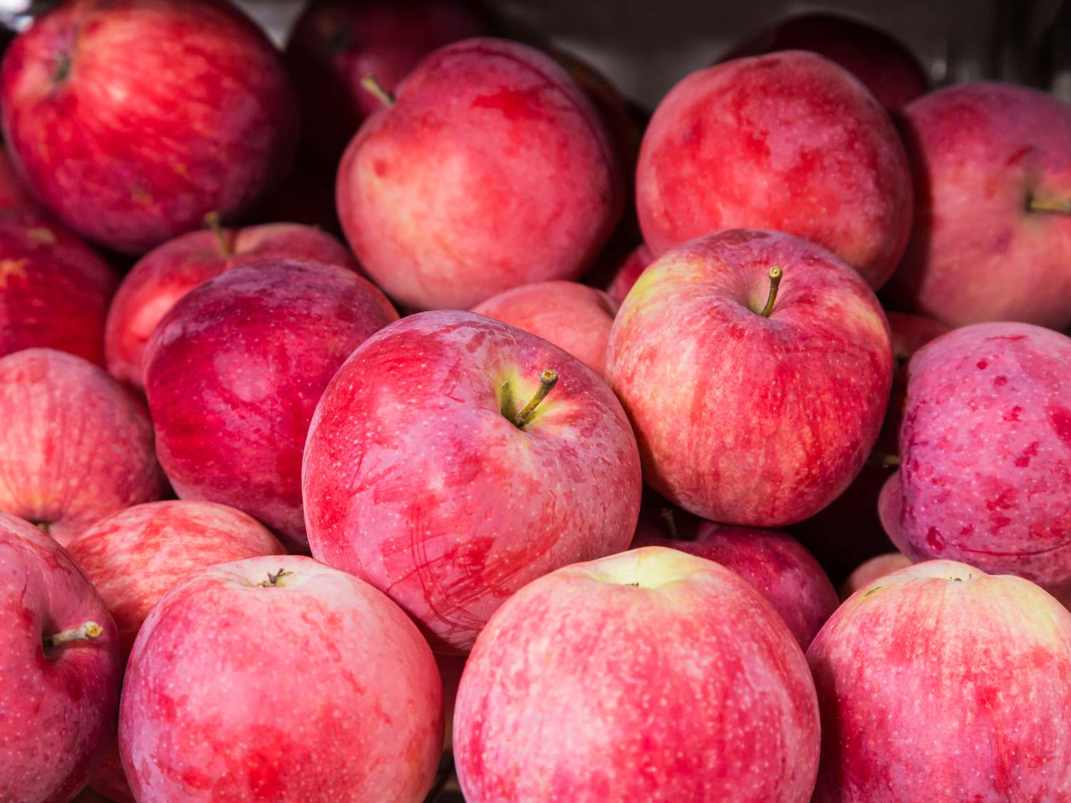 A pile of ripe apples in close view