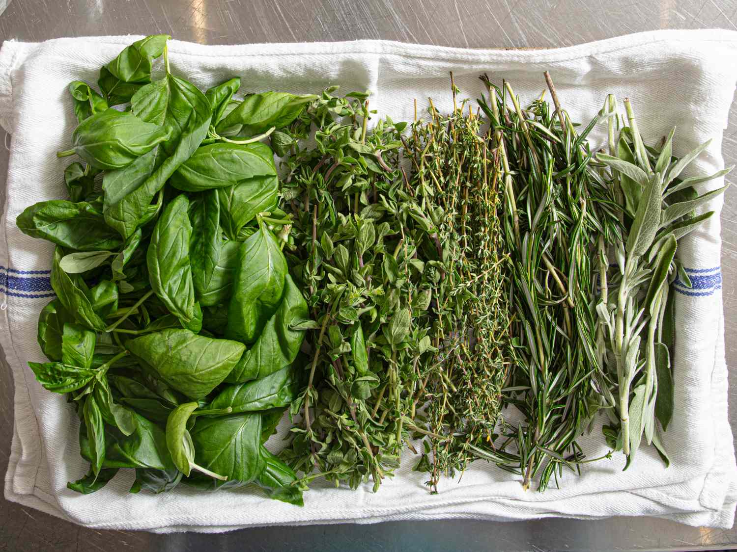 An assortment of fresh herbs including basil oregano thyme rosemary and sage arranged on a towel