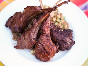 Closeup of grilled berbere-spiced lamb chops, shingled on top of cucumber-lentil salad.