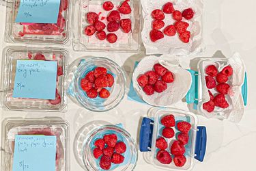 Overhead view of raspberry storage tests 