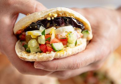 Side view of holding Sabich