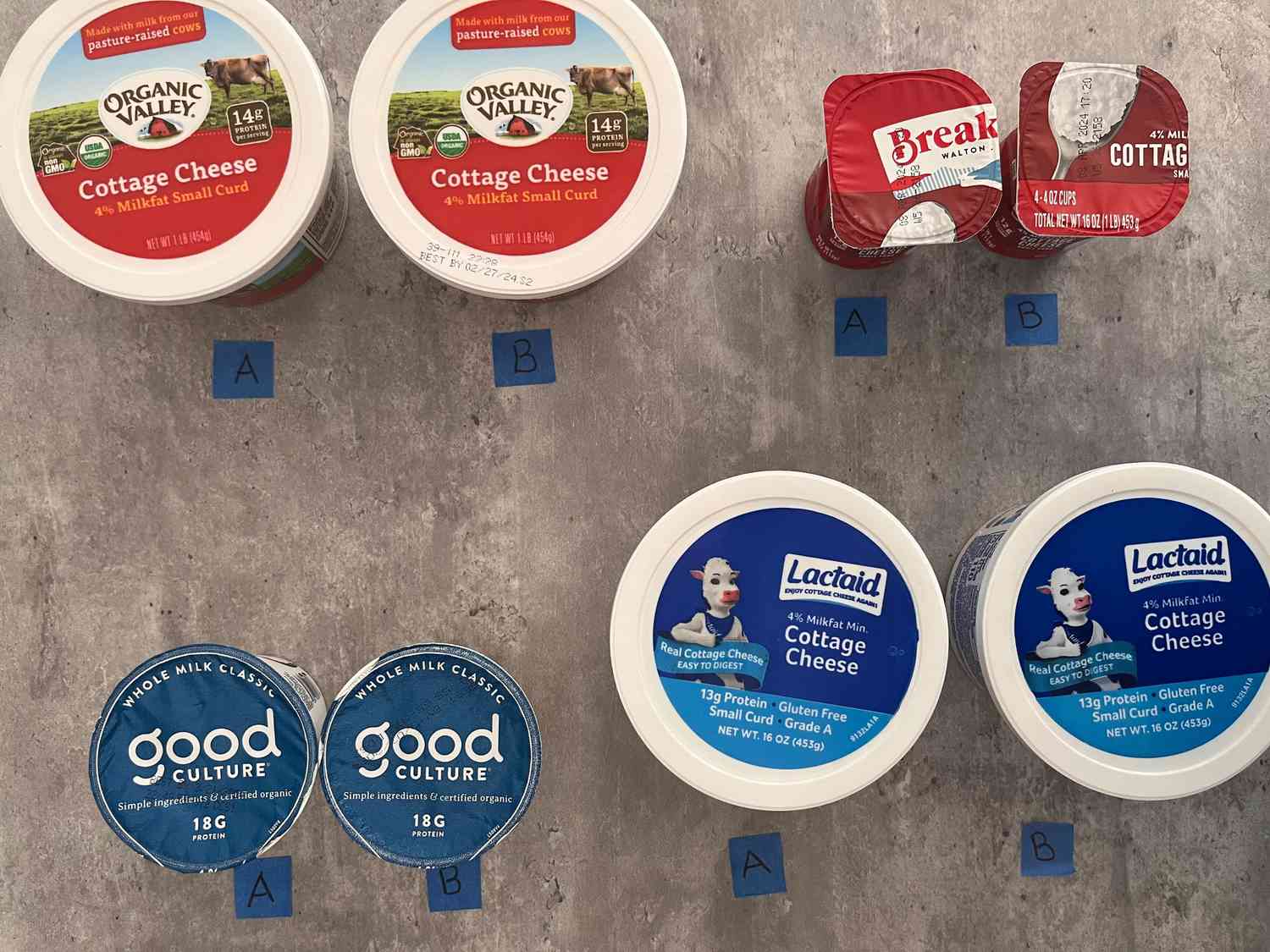 Four batches of cottage cheese laid out for taste-testing.