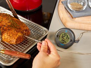 inserting a probe thermometer into a spice rubbed pork tenderloin on a rack