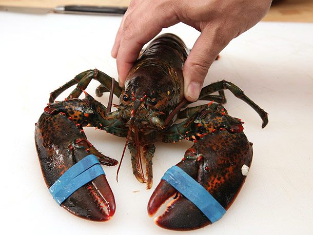 20130527-lobster-guide-food-lab-02.jpg
