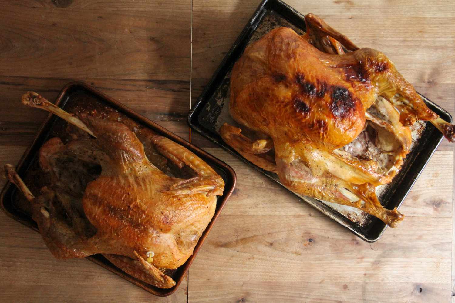 two roasted whole turkeys on a wooden countertop 
