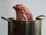 pork snout in pot 