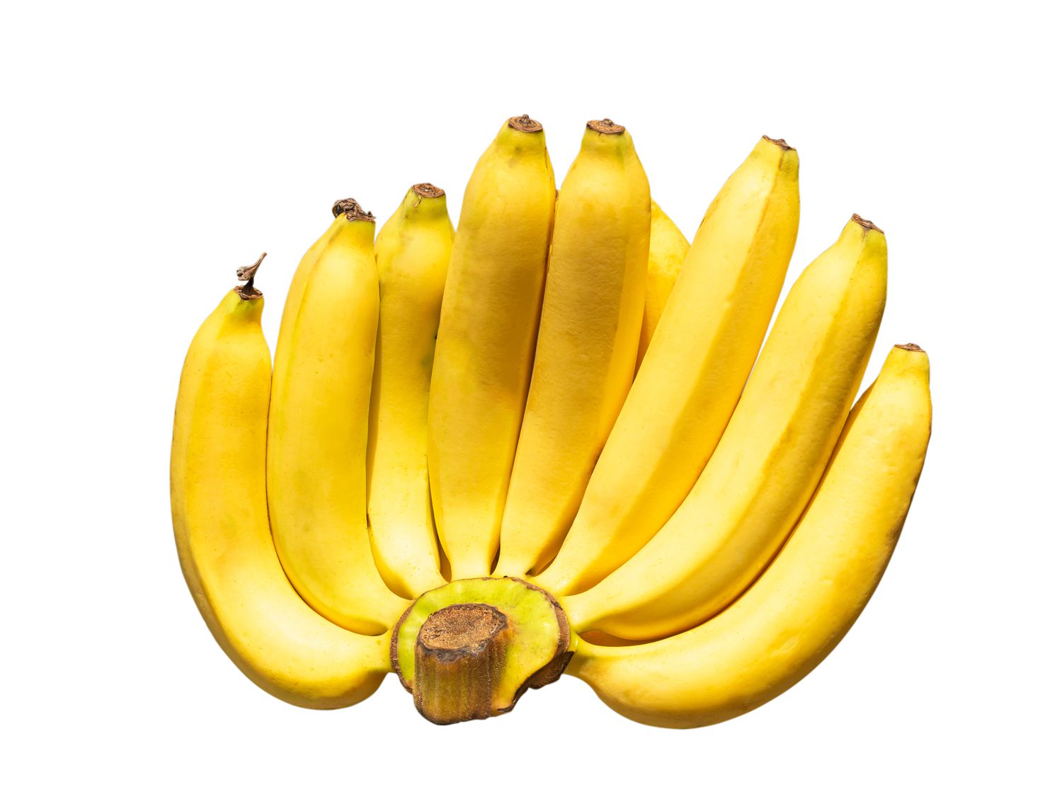 Bunch of cavendish bananas