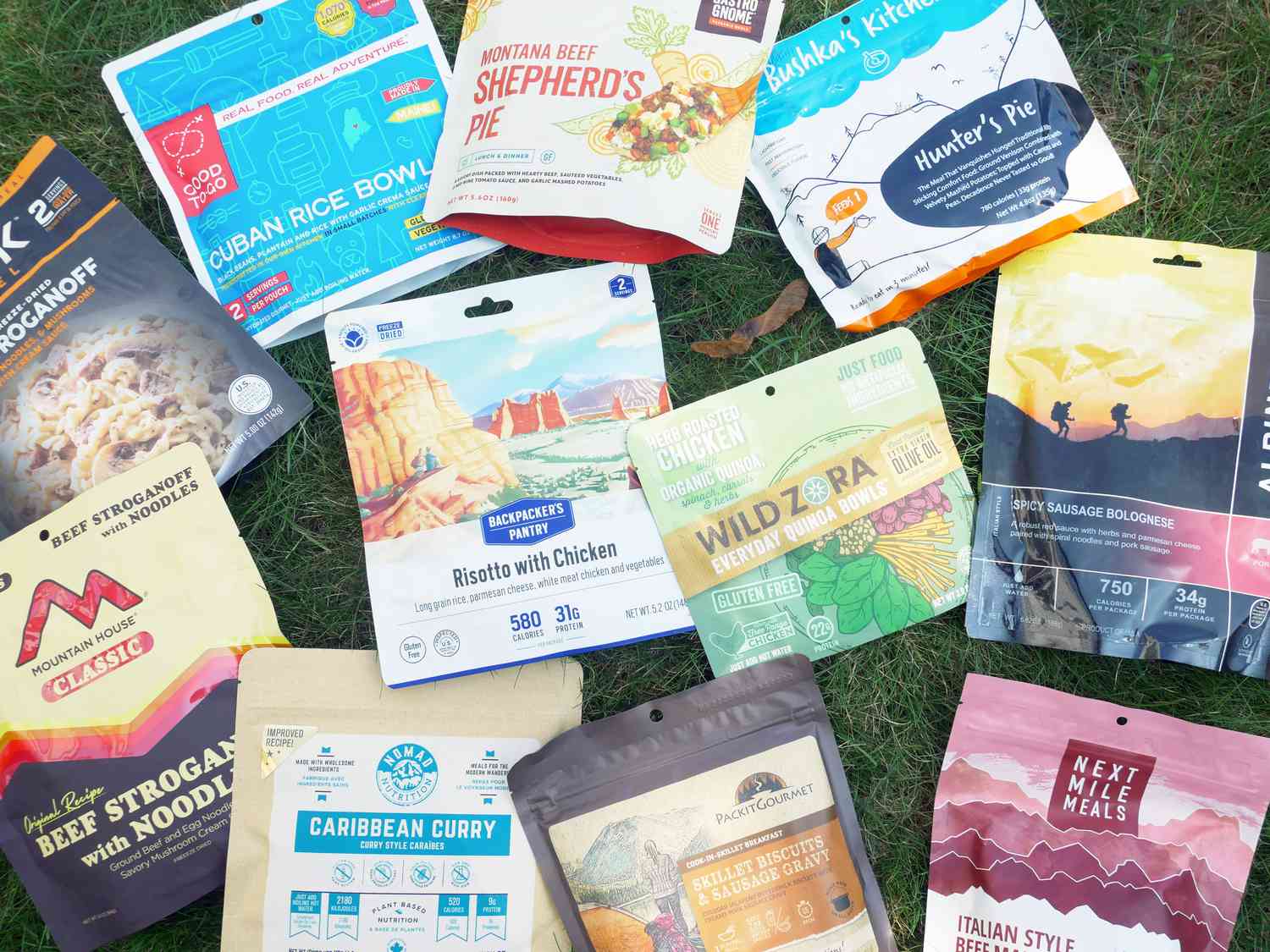 lineup of freeze dried backpacking food pouches on grass