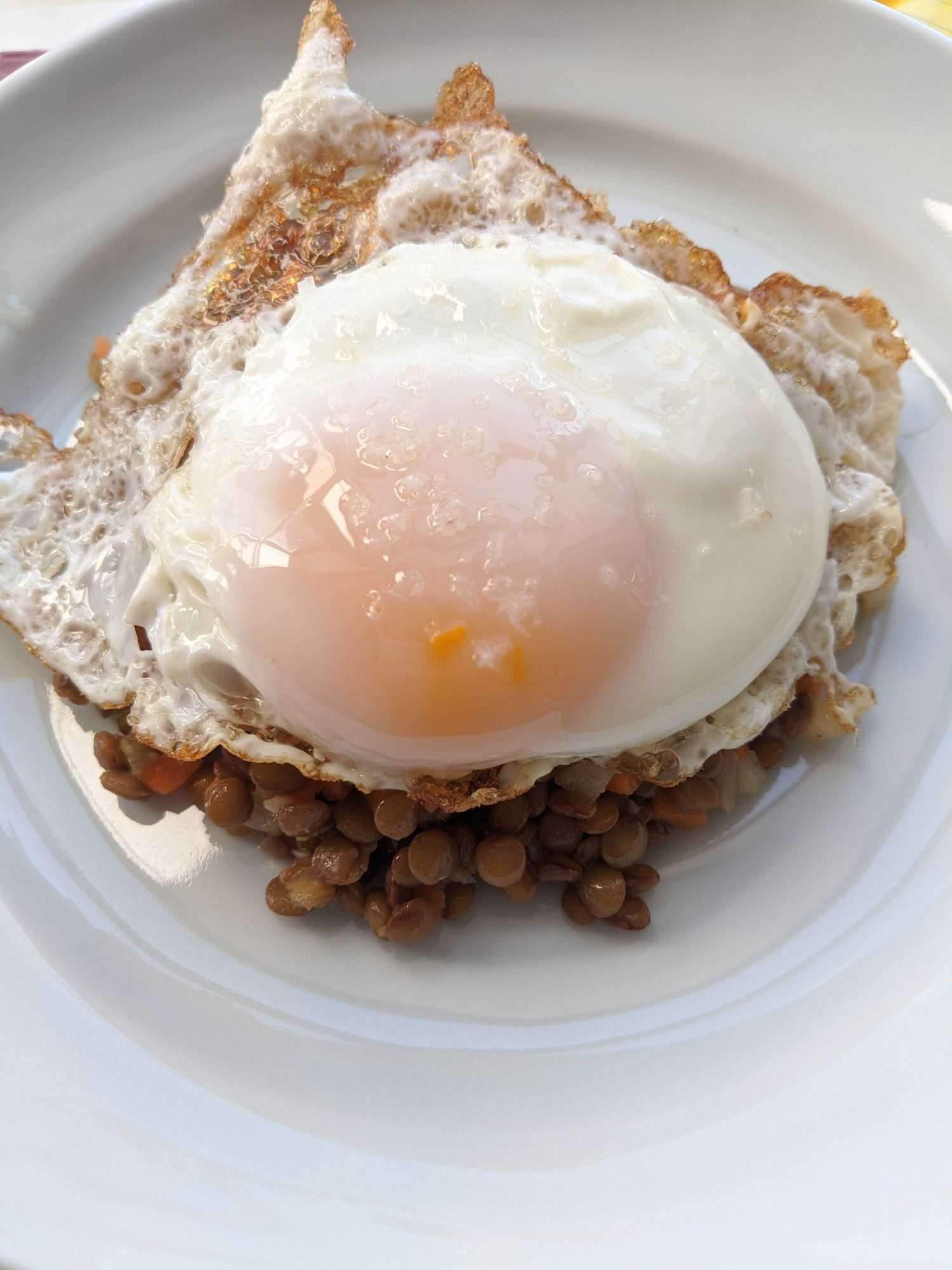 A fried egg on top of a pile of lentil salad