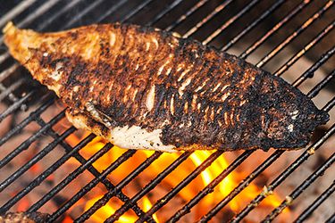 Blackened catfish over fire grill