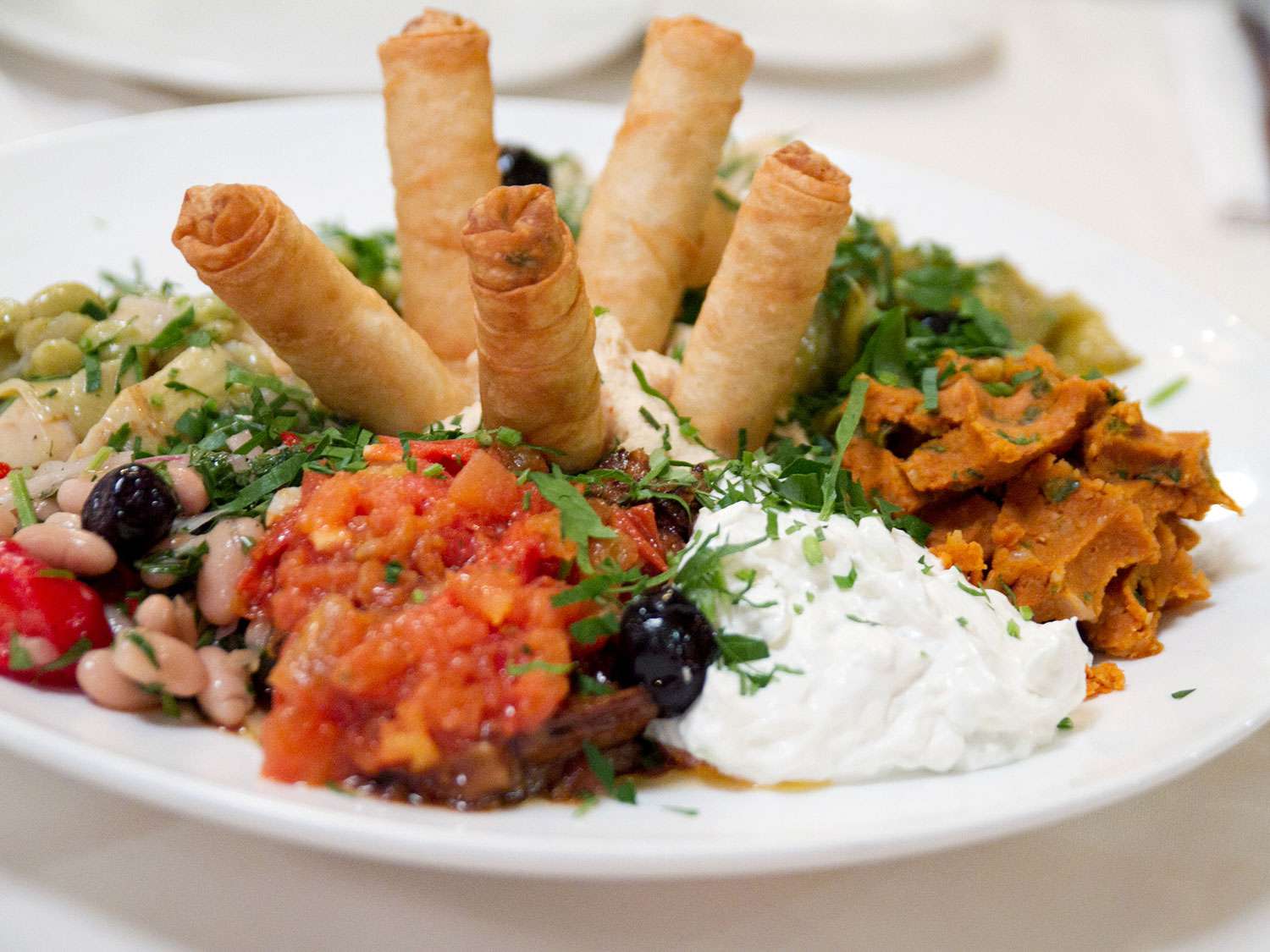 A mixed appetizer platter at a Turkish restaurant