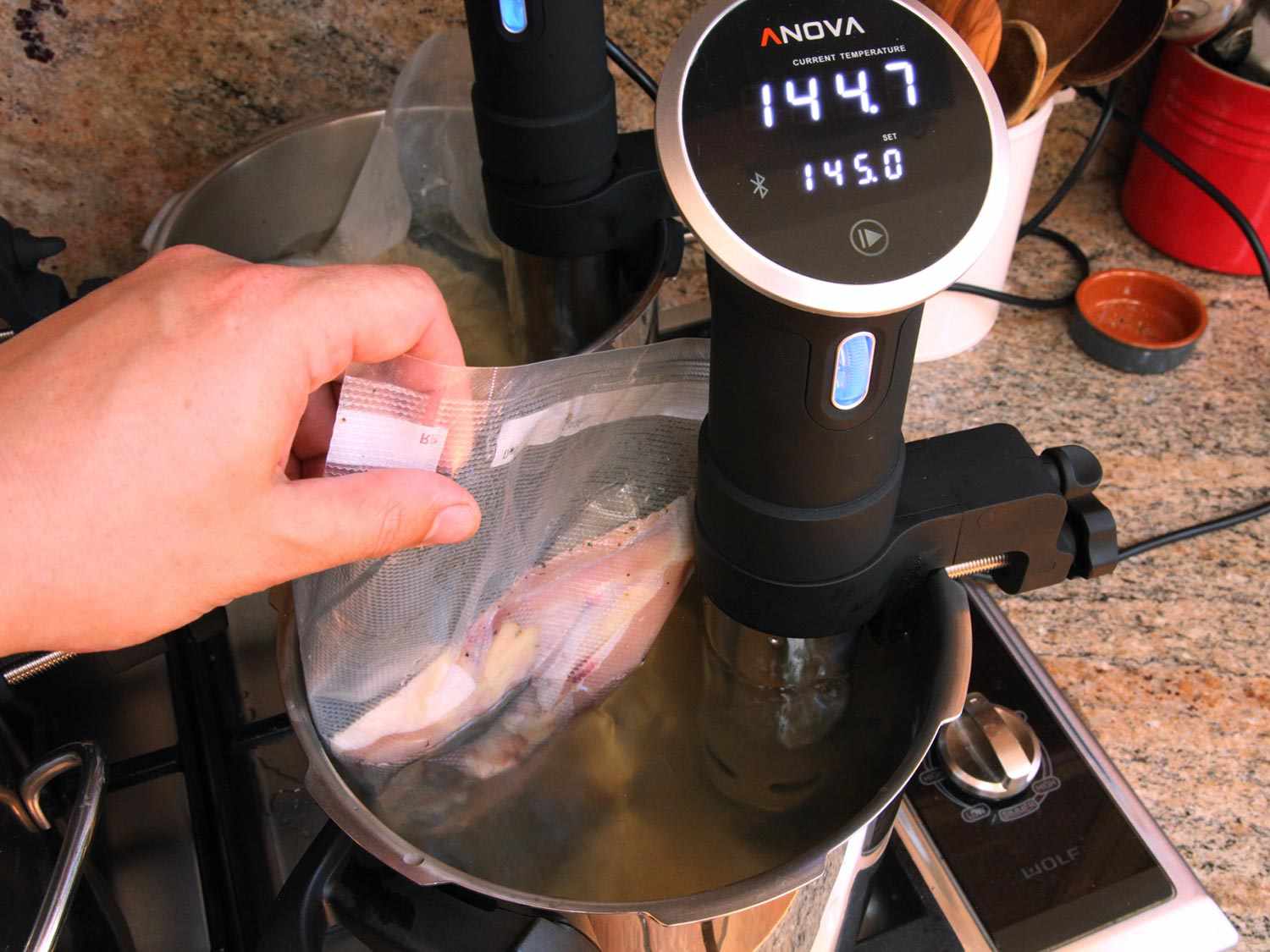 Lowering bagged chicken breast into a pot of water with a sous vide precision cooker attached.