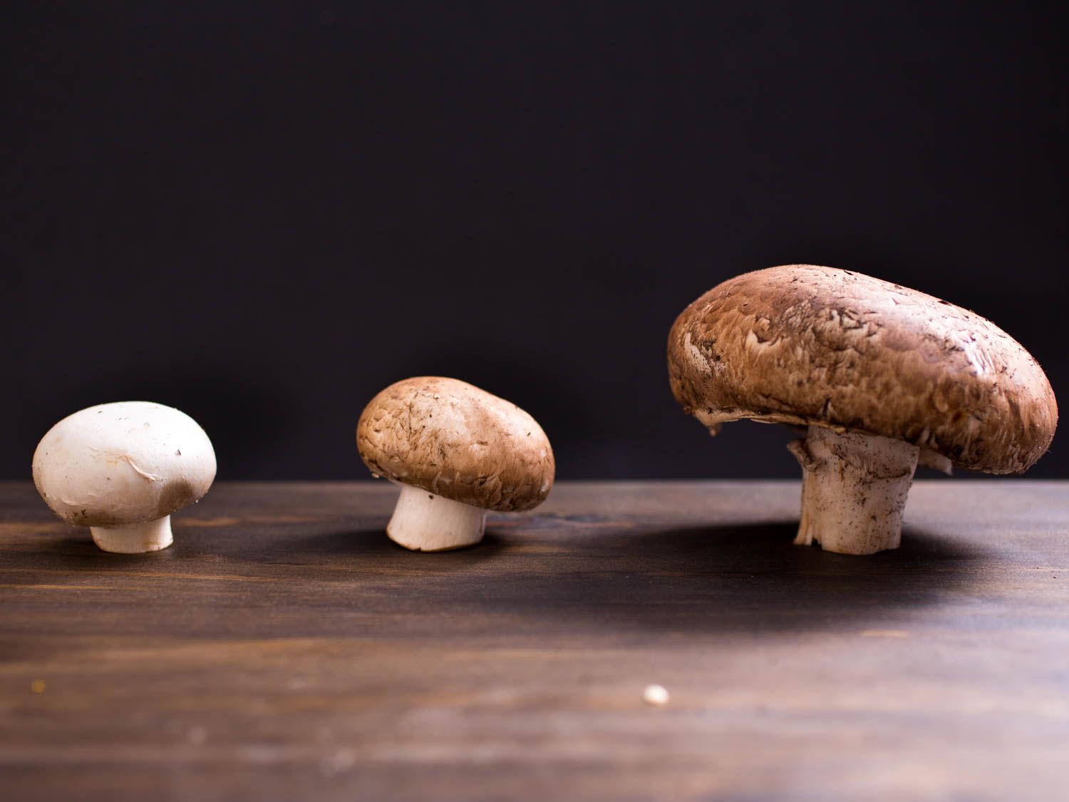20150527-mushroom-guide-vicky-wasik-5.jpg