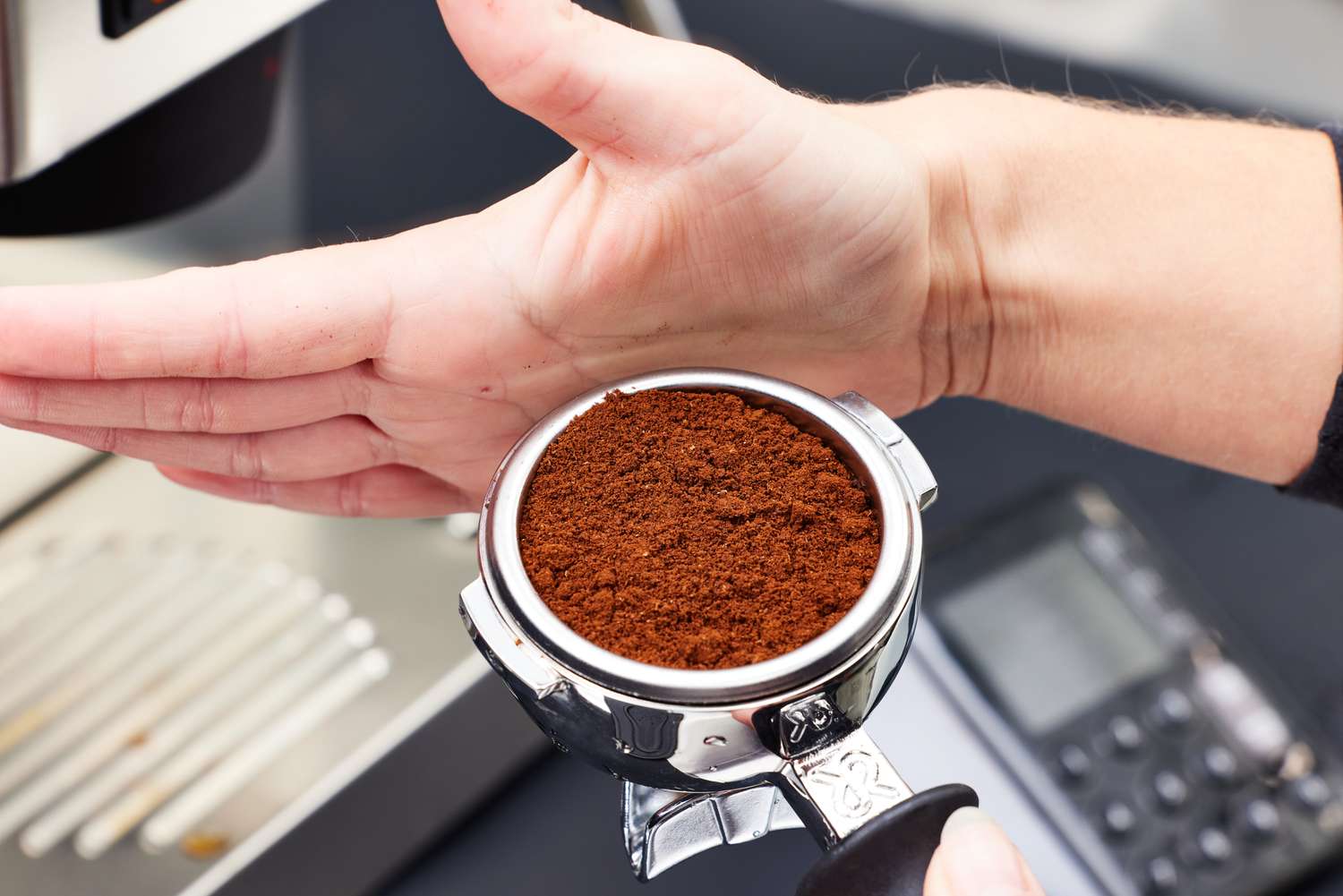 A person patting the coffee grinder from the Rancilio Silvia Espresso Machine