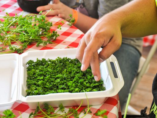 20120922-comp-bbq-parsley-box.jpg