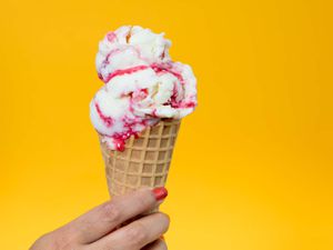 20180628-goat-milk-raspberry-swirl-gelato-vicky-wasik-3
