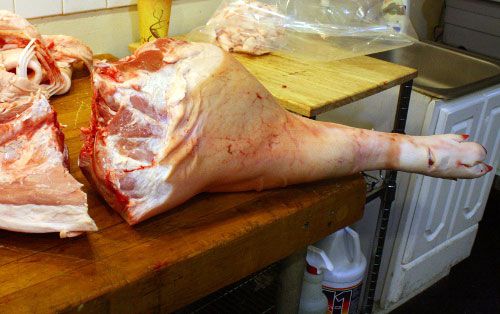 butchered pork leg