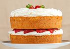 Genoise Sponge cake