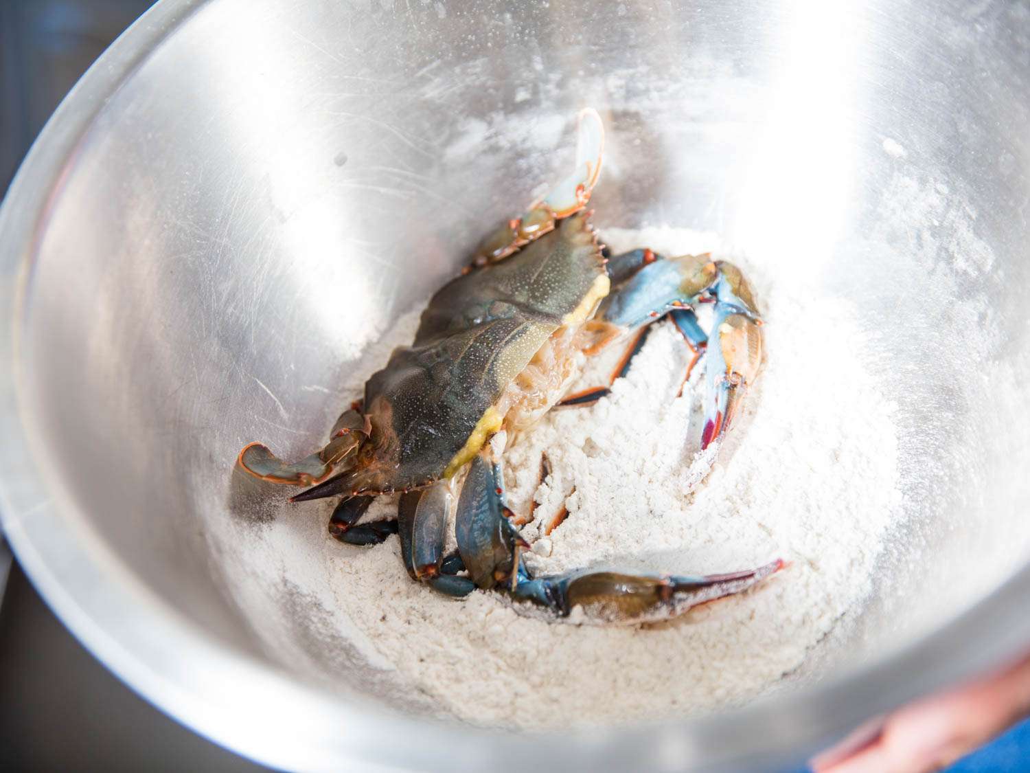 A raw crab being covered in a flour mixture in a bowl.