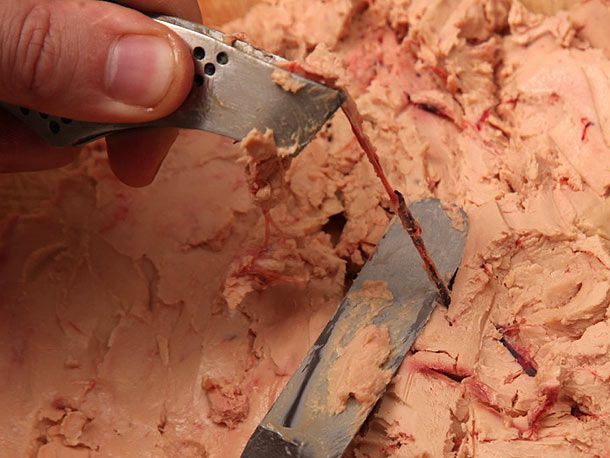 Close-up of author pulling a vein out of the liver with culinary tweezers, using the offset spatula to hold the liver in place.