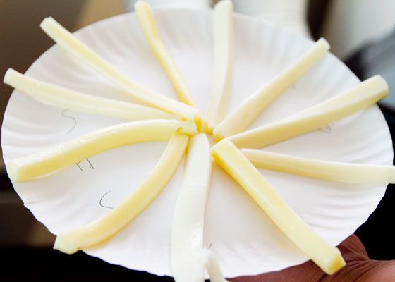 Cheese wheel