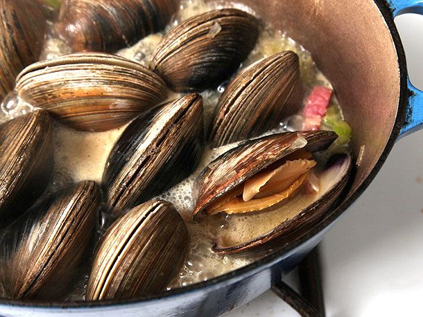 Clams steaming in a Dutch oven containing salt pork, celery, and onion. 
