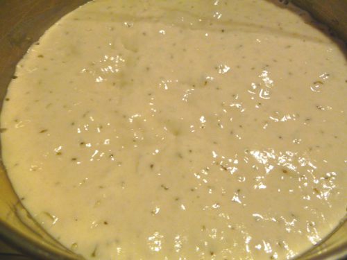 day 11 in bowl after overnight.JPG