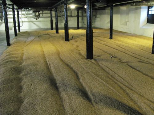 20120213Highland_park_malting_floor.jpg